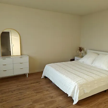 Maison Familiale Avec Exterieur Sélestat