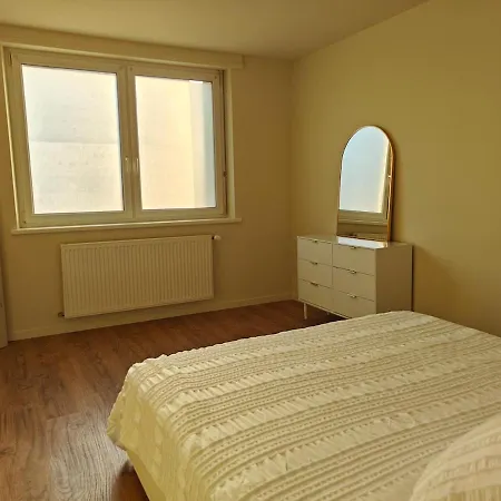 Maison Familiale Avec Exterieur Sélestat